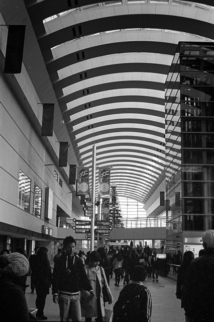 ���U���ʐ^�A���o�� f-2013.12.07Yokohama-M4-Summilux50mmF1.4-400TX-41.jpg 2013.12.07<BR>���l<BR>M4 Summilux50mmF1.4<BR>400TX D76 1:1