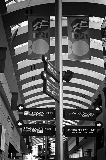 ���U���ʐ^�A���o�� f-2013.12.07Yokohama-M4-Summilux50mmF1.4-400TX-42.jpg 2013.12.07<BR>���l<BR>M4 Summilux50mmF1.4<BR>400TX D76 1:1