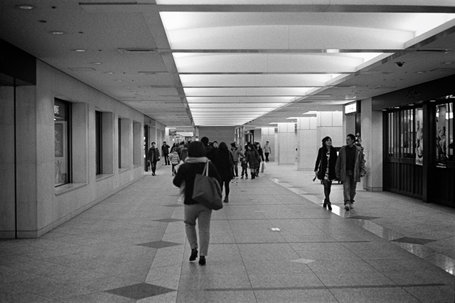 ���U���ʐ^�A���o�� f-2013.12.07Yokohama-M4-Summilux50mmF1.4-400TX-43.jpg 2013.12.07<BR>���l<BR>M4 Summilux50mmF1.4<BR>400TX D76 1:1