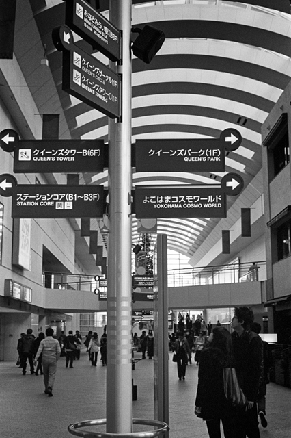 ���U���ʐ^�A���o�� f-2013.12.07Yokohama-M4-Summilux50mmF1.4-400TX-45.jpg 2013.12.07<BR>���l<BR>M4 Summilux50mmF1.4<BR>400TX D76 1:1