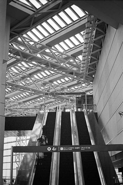 ���U���ʐ^�A���o�� f-2013.12.07Yokohama-M4-Summilux50mmF1.4-400TX-48.jpg 2013.12.07<BR>���l<BR>M4 Summilux50mmF1.4<BR>400TX D76 1:1