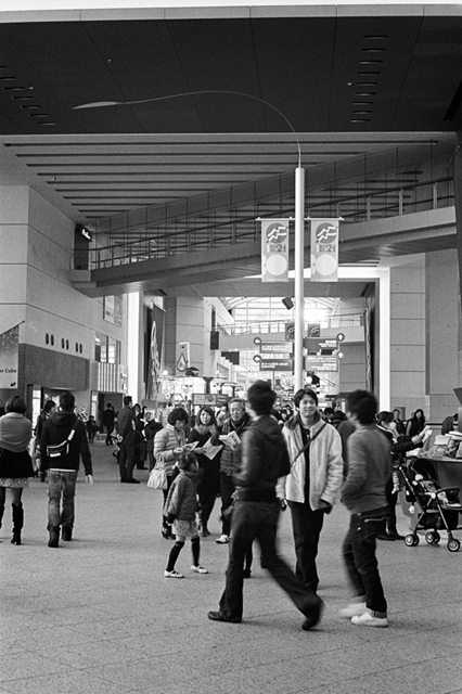 ���U���ʐ^�A���o�� f-2013.12.07Yokohama-M4-Summilux50mmF1.4-400TX-49.jpg 2013.12.07<BR>���l<BR>M4 Summilux50mmF1.4<BR>400TX D76 1:1