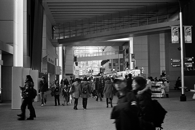 ���U���ʐ^�A���o�� f-2013.12.07Yokohama-M4-Summilux50mmF1.4-400TX-50.jpg 2013.12.07<BR>���l<BR>M4 Summilux50mmF1.4<BR>400TX D76 1:1