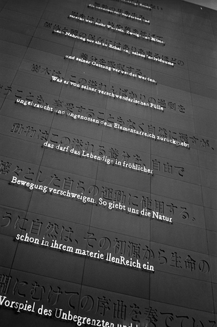 ���U���ʐ^�A���o�� f-2013.12.07Yokohama-M4-Summilux50mmF1.4-400TX-51.jpg 2013.12.07<BR>���l<BR>M4 Summilux50mmF1.4<BR>400TX D76 1:1