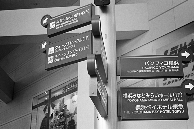 ���U���ʐ^�A���o�� f-2013.12.07Yokohama-M4-Summilux50mmF1.4-400TX-53.jpg 2013.12.07<BR>���l<BR>M4 Summilux50mmF1.4<BR>400TX D76 1:1