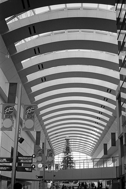���U���ʐ^�A���o�� f-2013.12.07Yokohama-M4-Summilux50mmF1.4-400TX-54.jpg 2013.12.07<BR>���l<BR>M4 Summilux50mmF1.4<BR>400TX D76 1:1