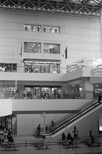 ���U���ʐ^�A���o�� f-2013.12.07Yokohama-M4-Summilux50mmF1.4-400TX-55.jpg 2013.12.07<BR>���l<BR>M4 Summilux50mmF1.4<BR>400TX D76 1:1