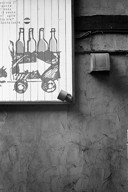 ���U���ʐ^�A���o�� f-2013.12.07Yokohama-M4-Summilux50mmF1.4-400TX-60.jpg 2013.12.07<BR>���l<BR>M4 Summilux50mmF1.4<BR>400TX D76 1:1