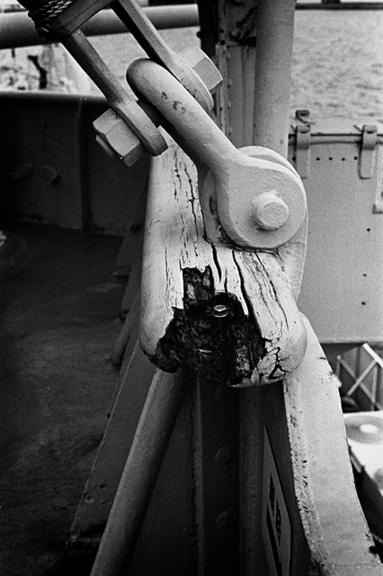���U���ʐ^�A���o�� f-2013.12.08Yokosuka-Mikasa-M4-Summilux50mmF1.4-400TX-31.jpg 2013.12.08<BR>���{�� �O�}<BR>M4 Summilux50mmF1.4<BR>400TX D76 1:1