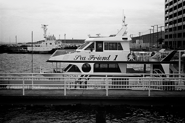 ���U���ʐ^�A���o�� f-2013.12.08Yokosuka-Mikasa-M4-Summilux50mmF1.4-400TX-42.jpg 2013.12.08<BR>���{�� �O�}<BR>M4 Summilux50mmF1.4<BR>400TX D76 1:1