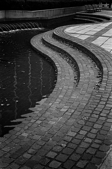 ���U���ʐ^�A���o�� f-2013.12.08Yokosuka-Mikasa-M4-Summilux50mmF1.4-400TX-45.jpg 2013.12.08<BR>���{�� �O�}<BR>M4 Summilux50mmF1.4<BR>400TX D76 1:1