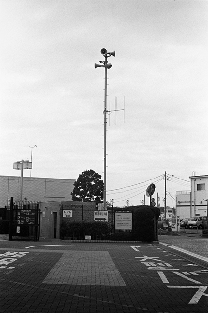 ���U���ʐ^�A���o�� f-2013.12.08Yokosuka-Mikasa-M4-Summilux50mmF1.4-400TX-50.jpg 2013.12.08<BR>���{�� �O�}<BR>M4 Summilux50mmF1.4<BR>400TX D76 1:1