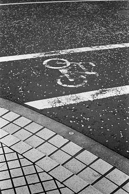���U���ʐ^�A���o�� f-2013.12.08Yokosuka-Mikasa-M4-Summilux50mmF1.4-400TX-52.jpg 2013.12.08<BR>���{�� �O�}<BR>M4 Summilux50mmF1.4<BR>400TX D76 1:1