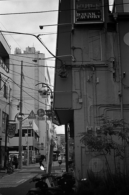 ���U���ʐ^�A���o�� f-2013.12.08Yokosuka-Shioiri-M4-Summilux50mmF1.4-400TX-29.jpg 2013.12.08<BR>���{�� ����<BR>M4 Summilux50mmF1.4<BR>400TX D76 1:1