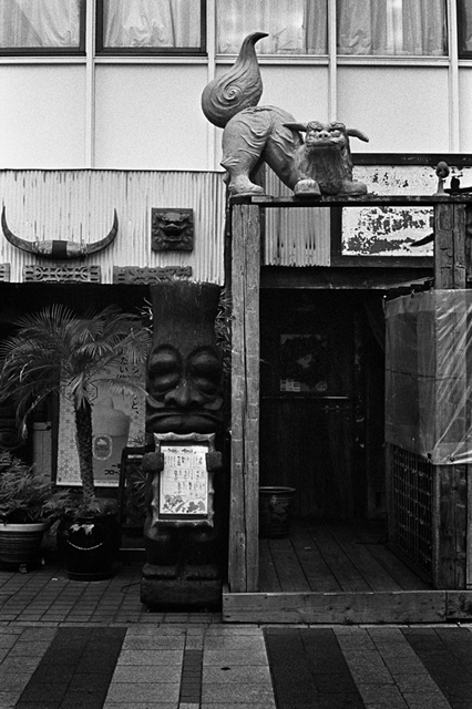 ���U���ʐ^�A���o�� f-2013.12.08Yokosuka-Shioiri-M4-Summilux50mmF1.4-400TX-35.jpg 2013.12.08<BR>���{�� ����<BR>M4 Summilux50mmF1.4<BR>400TX D76 1:1