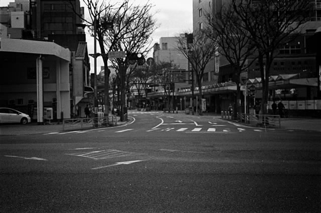 ���U���ʐ^�A���o�� f-2013.12.08Yokosuka-Shioiri-M4-Summilux50mmF1.4-400TX-36.jpg 2013.12.08<BR>���{�� ����<BR>M4 Summilux50mmF1.4<BR>400TX D76 1:1