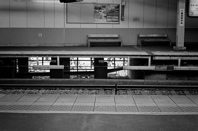���U���ʐ^�A���o�� f-2013.12.08Yokosuka-Shioiri-M4-Summilux50mmF1.4-400TX-38.jpg 2013.12.08<BR>���{�� ����<BR>M4 Summilux50mmF1.4<BR>400TX D76 1:1