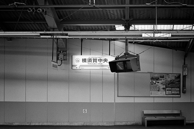 ���U���ʐ^�A���o�� f-2013.12.08Yokosuka-Shioiri-M4-Summilux50mmF1.4-400TX-40.jpg 2013.12.08<BR>���{�� ����<BR>M4 Summilux50mmF1.4<BR>400TX D76 1:1
