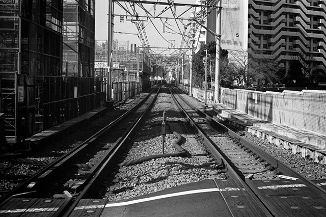 ���U���ʐ^�A���o�� f-2013.12.15Yokohama-M4-Summilux50mmF1.4-400TX-20.jpg 2013.12.15<BR>���l<BR>M4 Summilux50mmF1.4<BR>400TX D76 1:1