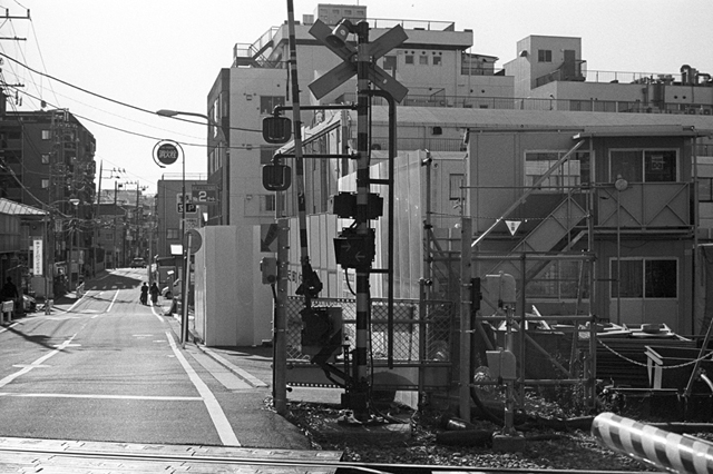 ���U���ʐ^�A���o�� f-2013.12.15Yokohama-M4-Summilux50mmF1.4-400TX-23.jpg 2013.12.15<BR>���l<BR>M4 Summilux50mmF1.4<BR>400TX D76 1:1
