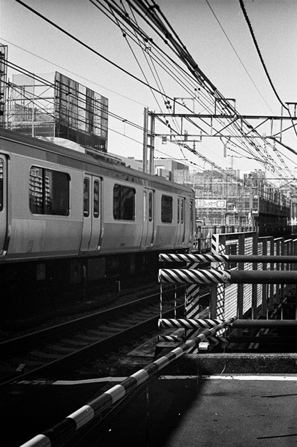 ���U���ʐ^�A���o�� f-2013.12.15Yokohama-M4-Summilux50mmF1.4-400TX-24.jpg 2013.12.15<BR>���l<BR>M4 Summilux50mmF1.4<BR>400TX D76 1:1