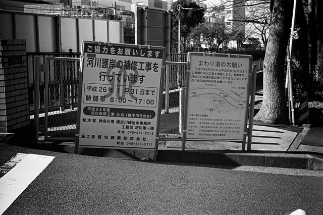 ���U���ʐ^�A���o�� f-2013.12.15Yokohama-M4-Summilux50mmF1.4-400TX-25.jpg 2013.12.15<BR>���l<BR>M4 Summilux50mmF1.4<BR>400TX D76 1:1