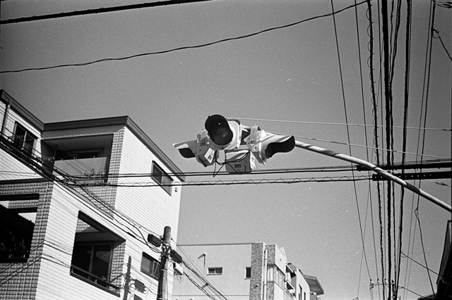 ���U���ʐ^�A���o�� f-2013.12.15Yokohama-M4-Summilux50mmF1.4-400TX-31.jpg 2013.12.15<BR>���l<BR>M4 Summilux50mmF1.4<BR>400TX D76 1:1