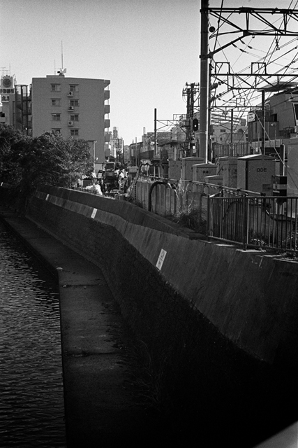 ���U���ʐ^�A���o�� f-2013.12.15Yokohama-M4-Summilux50mmF1.4-400TX-34.jpg 2013.12.15<BR>���l<BR>M4 Summilux50mmF1.4<BR>400TX D76 1:1