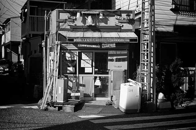 ���U���ʐ^�A���o�� f-2013.12.15Yokohama-M4-Summilux50mmF1.4-400TX-36.jpg 2013.12.15<BR>���l<BR>M4 Summilux50mmF1.4<BR>400TX D76 1:1