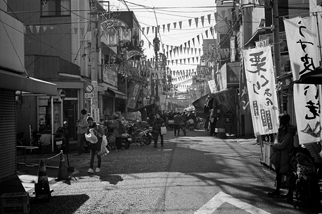 ���U���ʐ^�A���o�� f-2013.12.15Yokohama-M4-Summilux50mmF1.4-400TX-38.jpg 2013.12.15<BR>���l<BR>M4 Summilux50mmF1.4<BR>400TX D76 1:1
