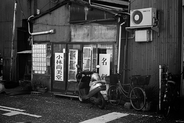 ���U���ʐ^�A���o�� f-2013.12.15Yokohama-M4-Summilux50mmF1.4-400TX-39.jpg 2013.12.15<BR>���l<BR>M4 Summilux50mmF1.4<BR>400TX D76 1:1