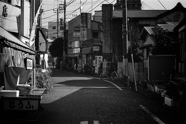 ���U���ʐ^�A���o�� f-2013.12.15Yokohama-M4-Summilux50mmF1.4-400TX-40.jpg 2013.12.15<BR>���l<BR>M4 Summilux50mmF1.4<BR>400TX D76 1:1