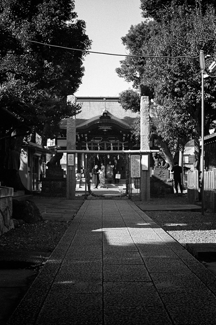 ���U���ʐ^�A���o�� f-2013.12.15Yokohama-M4-Summilux50mmF1.4-400TX-52.jpg 2013.12.15<BR>���l<BR>M4 Summilux50mmF1.4<BR>400TX D76 1:1