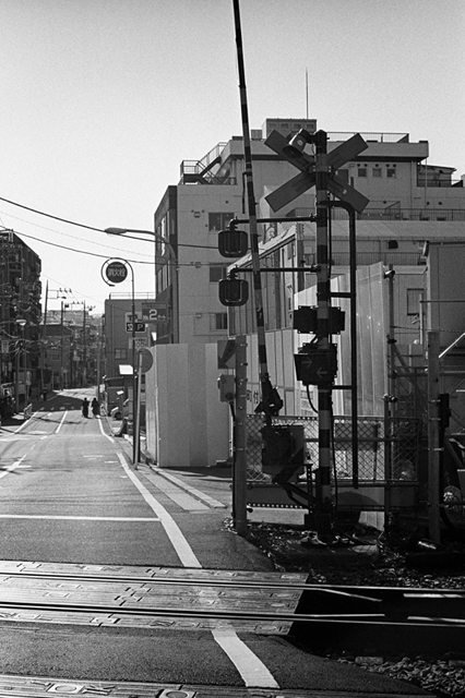 ���U���ʐ^�A���o�� f-2013.12.15Yokohama-M4-Summilux50mmF1.4-400TX-54.jpg 2013.12.15<BR>���l<BR>M4 Summilux50mmF1.4<BR>400TX D76 1:1