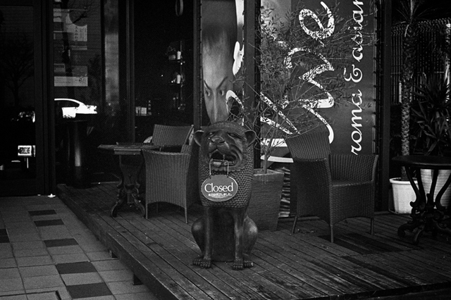 ���U���ʐ^�A���o�� f-2013.12.21Shin-yokohama-M4-Summilux50mmF1.4-400TX-012.jpg 2013.12.21<BR>�V���l<BR>M4 Summilux50mmF1.4<BR>400TX D76 1:1