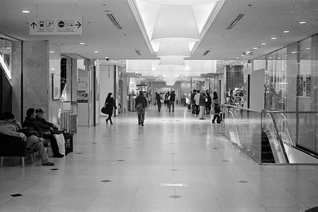 ���U���ʐ^�A���o�� f-2013.12.21Shin-yokohama-M4-Summilux50mmF1.4-400TX-024.jpg 2013.12.21<BR>�V���l<BR>M4 Summilux50mmF1.4<BR>400TX D76 1:1