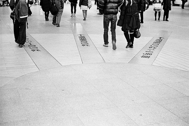 ���U���ʐ^�A���o�� f-2013.12.21Shin-yokohama-M4-Summilux50mmF1.4-400TX-043.jpg 2013.12.21<BR>�V���l<BR>M4 Summilux50mmF1.4<BR>400TX D76 1:1