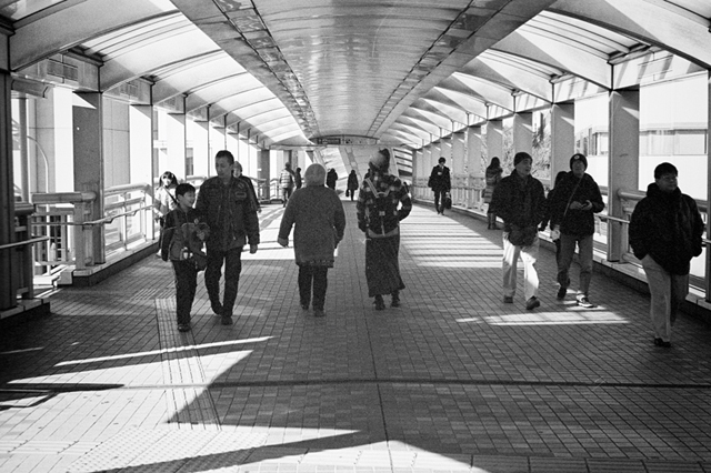 ���U���ʐ^�A���o�� f-2013.12.21Shin-yokohama-M4-Summilux50mmF1.4-400TX-047.jpg 2013.12.21<BR>�V���l<BR>M4 Summilux50mmF1.4<BR>400TX D76 1:1