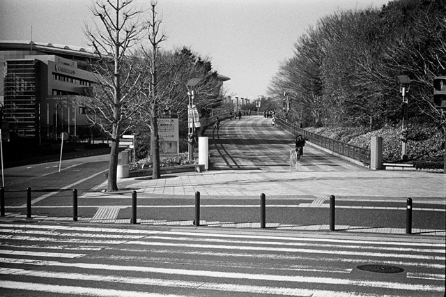 ���U���ʐ^�A���o�� f-2013.12.21Shin-yokohama-M4-Summilux50mmF1.4-400TX-058.jpg 2013.12.21<BR>�V���l<BR>M4 Summilux50mmF1.4<BR>400TX D76 1:1