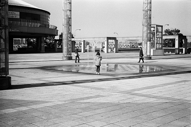 ���U���ʐ^�A���o�� f-2013.12.21Shin-yokohama-M4-Summilux50mmF1.4-400TX-060.jpg 2013.12.21<BR>�V���l<BR>M4 Summilux50mmF1.4<BR>400TX D76 1:1