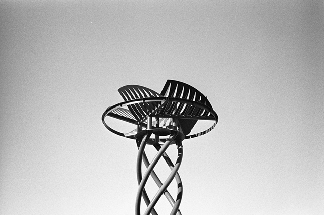 ���U���ʐ^�A���o�� f-2013.12.21Shin-yokohama-M4-Summilux50mmF1.4-400TX-068.jpg 2013.12.21<BR>�V���l<BR>M4 Summilux50mmF1.4<BR>400TX D76 1:1