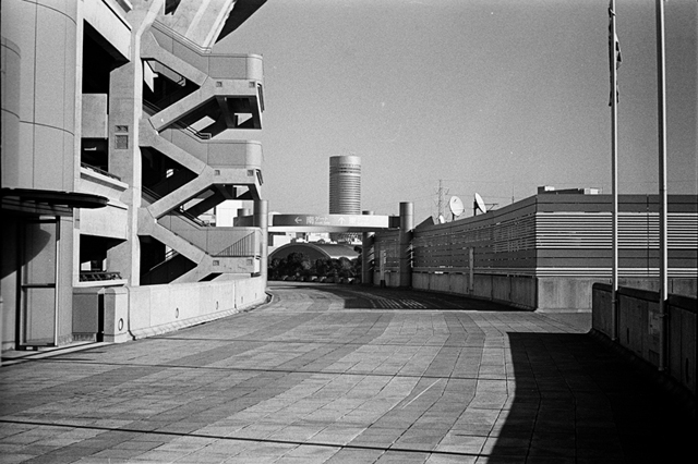 ���U���ʐ^�A���o�� f-2013.12.21Shin-yokohama-M4-Summilux50mmF1.4-400TX-069.jpg 2013.12.21<BR>�V���l<BR>M4 Summilux50mmF1.4<BR>400TX D76 1:1
