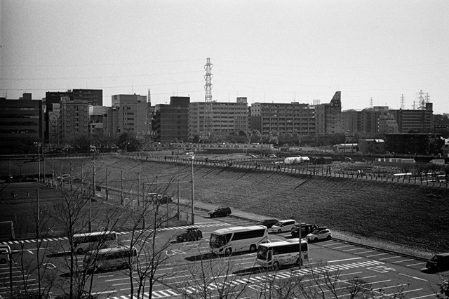 ���U���ʐ^�A���o�� f-2013.12.21Shin-yokohama-M4-Summilux50mmF1.4-400TX-071.jpg 2013.12.21<BR>�V���l<BR>M4 Summilux50mmF1.4<BR>400TX D76 1:1