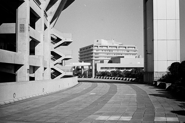 ���U���ʐ^�A���o�� f-2013.12.21Shin-yokohama-M4-Summilux50mmF1.4-400TX-072.jpg 2013.12.21<BR>�V���l<BR>M4 Summilux50mmF1.4<BR>400TX D76 1:1