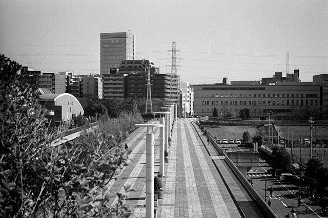 ���U���ʐ^�A���o�� f-2013.12.21Shin-yokohama-M4-Summilux50mmF1.4-400TX-073.jpg 2013.12.21<BR>�V���l<BR>M4 Summilux50mmF1.4<BR>400TX D76 1:1