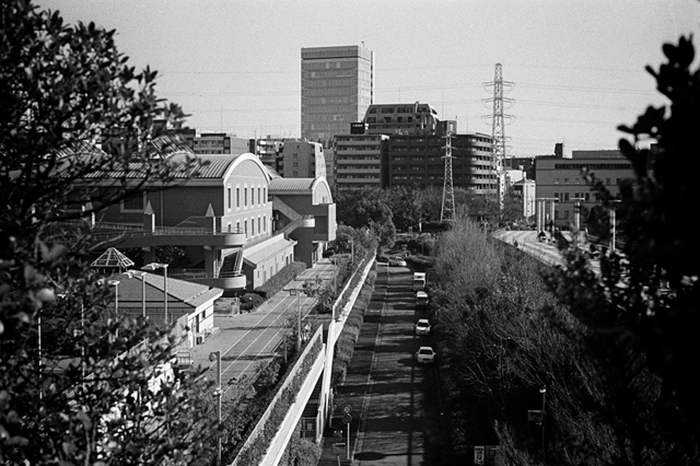 ���U���ʐ^�A���o�� f-2013.12.21Shin-yokohama-M4-Summilux50mmF1.4-400TX-074.jpg 2013.12.21<BR>�V���l<BR>M4 Summilux50mmF1.4<BR>400TX D76 1:1