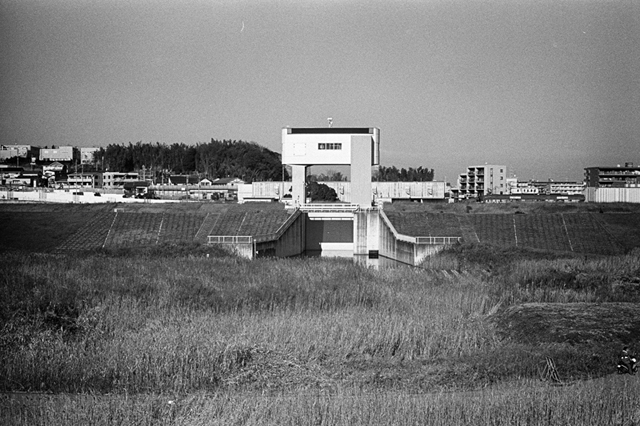 ���U���ʐ^�A���o�� f-2013.12.21Shin-yokohama-M4-Summilux50mmF1.4-400TX-077.jpg 2013.12.21<BR>�V���l<BR>M4 Summilux50mmF1.4<BR>400TX D76 1:1