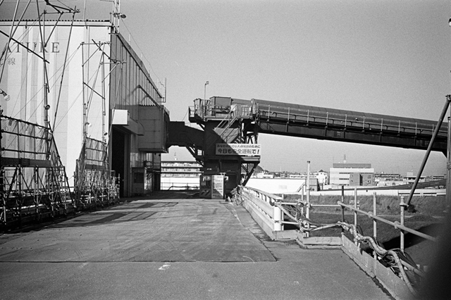 ���U���ʐ^�A���o�� f-2013.12.21Shin-yokohama-M4-Summilux50mmF1.4-400TX-082.jpg 2013.12.21<BR>�V���l<BR>M4 Summilux50mmF1.4<BR>400TX D76 1:1