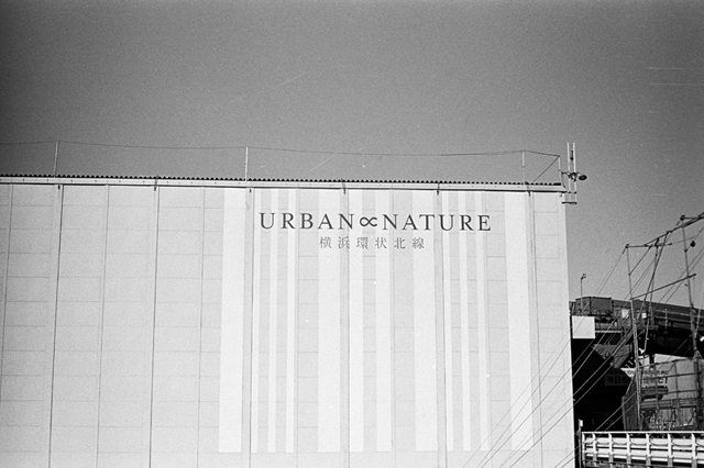 ���U���ʐ^�A���o�� f-2013.12.21Shin-yokohama-M4-Summilux50mmF1.4-400TX-086.jpg 2013.12.21<BR>�V���l<BR>M4 Summilux50mmF1.4<BR>400TX D76 1:1