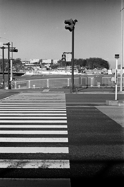 ���U���ʐ^�A���o�� f-2013.12.21Shin-yokohama-M4-Summilux50mmF1.4-400TX-092.jpg 2013.12.21<BR>�V���l<BR>M4 Summilux50mmF1.4<BR>400TX D76 1:1